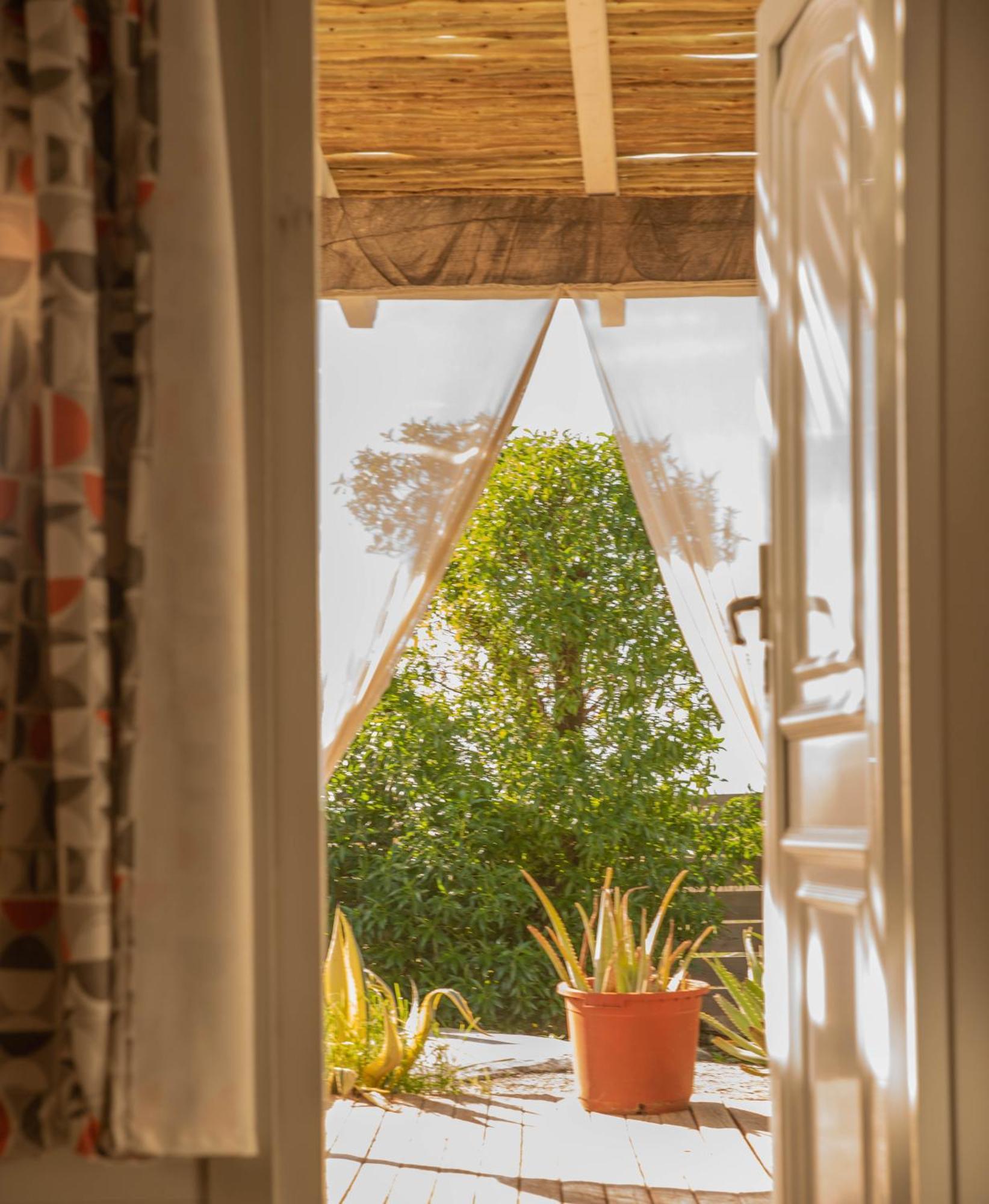 La Cabana A Orillas Del Palmar Cádiz Kültér fotó